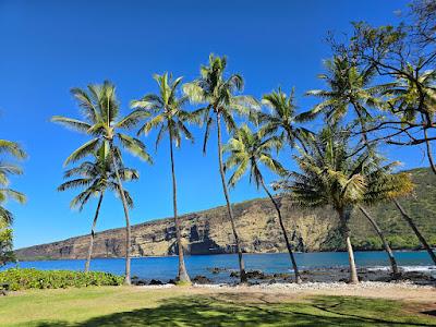 Sandee - Napoopoo Beach