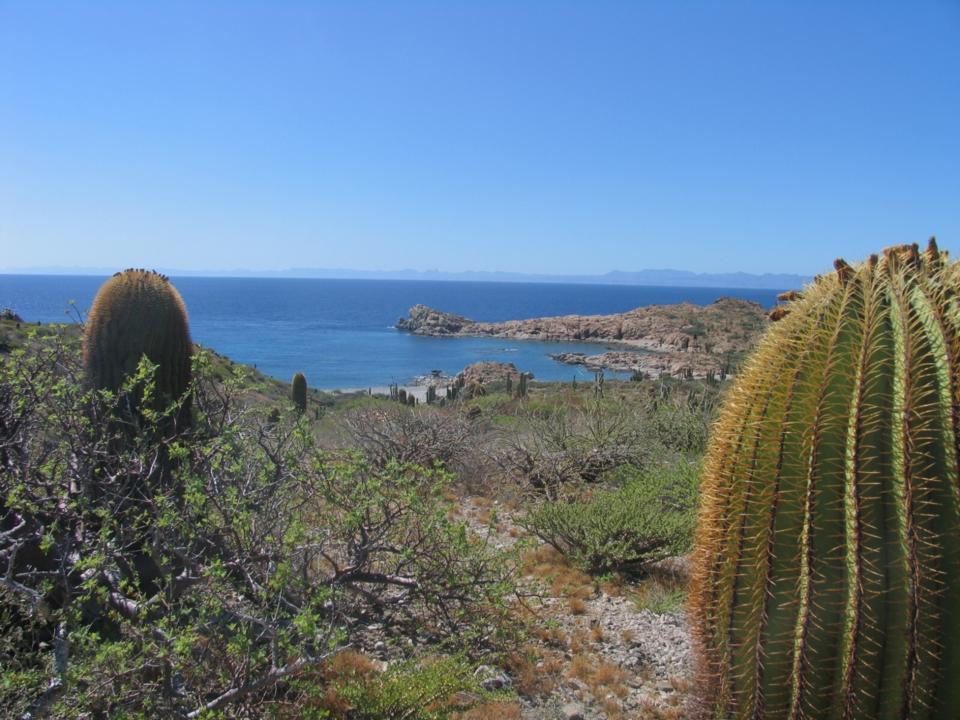 Sandee Playa Los Burritos Photo