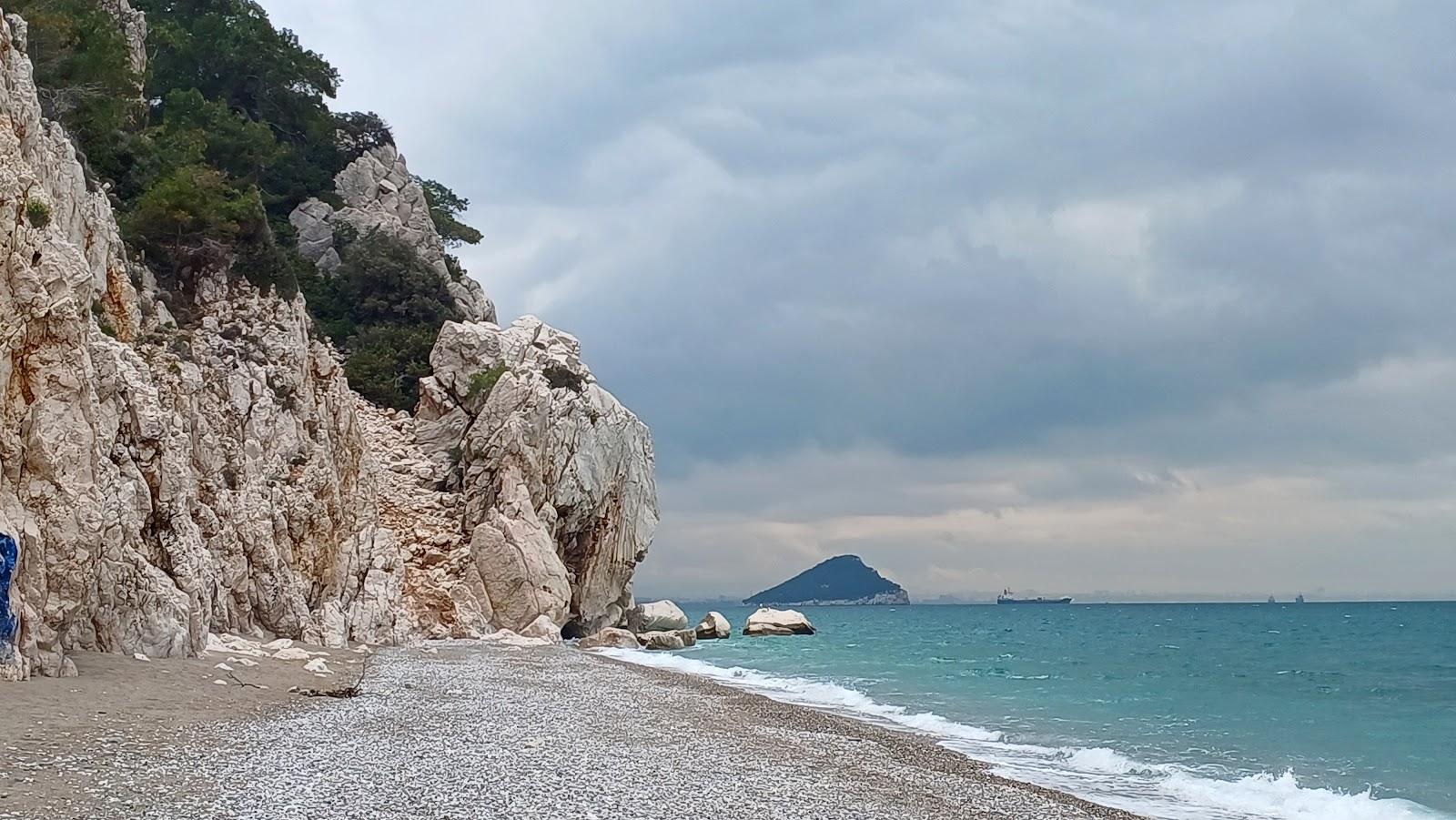 Sandee Wild Beach