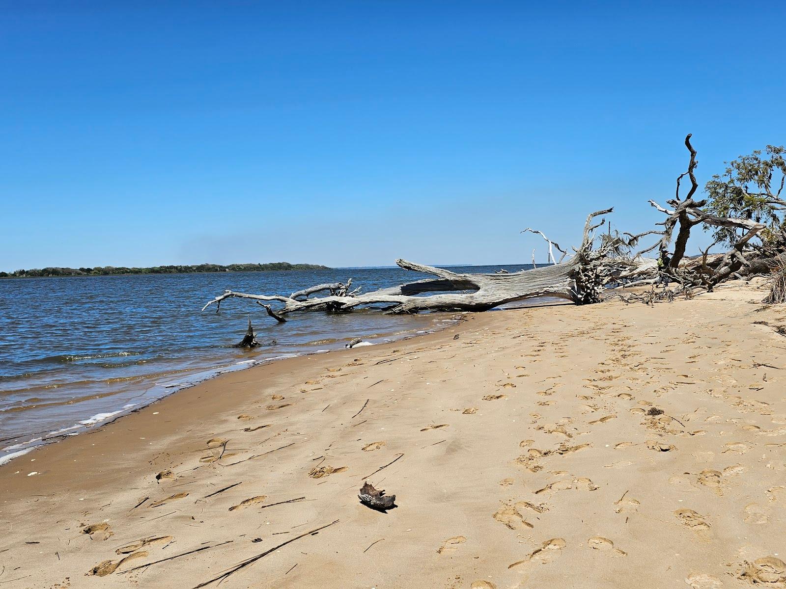 Sandee Cumberland Island National Seashore Photo