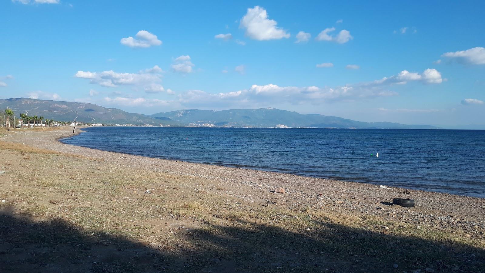 Sandee Sakiz Agaci Beach