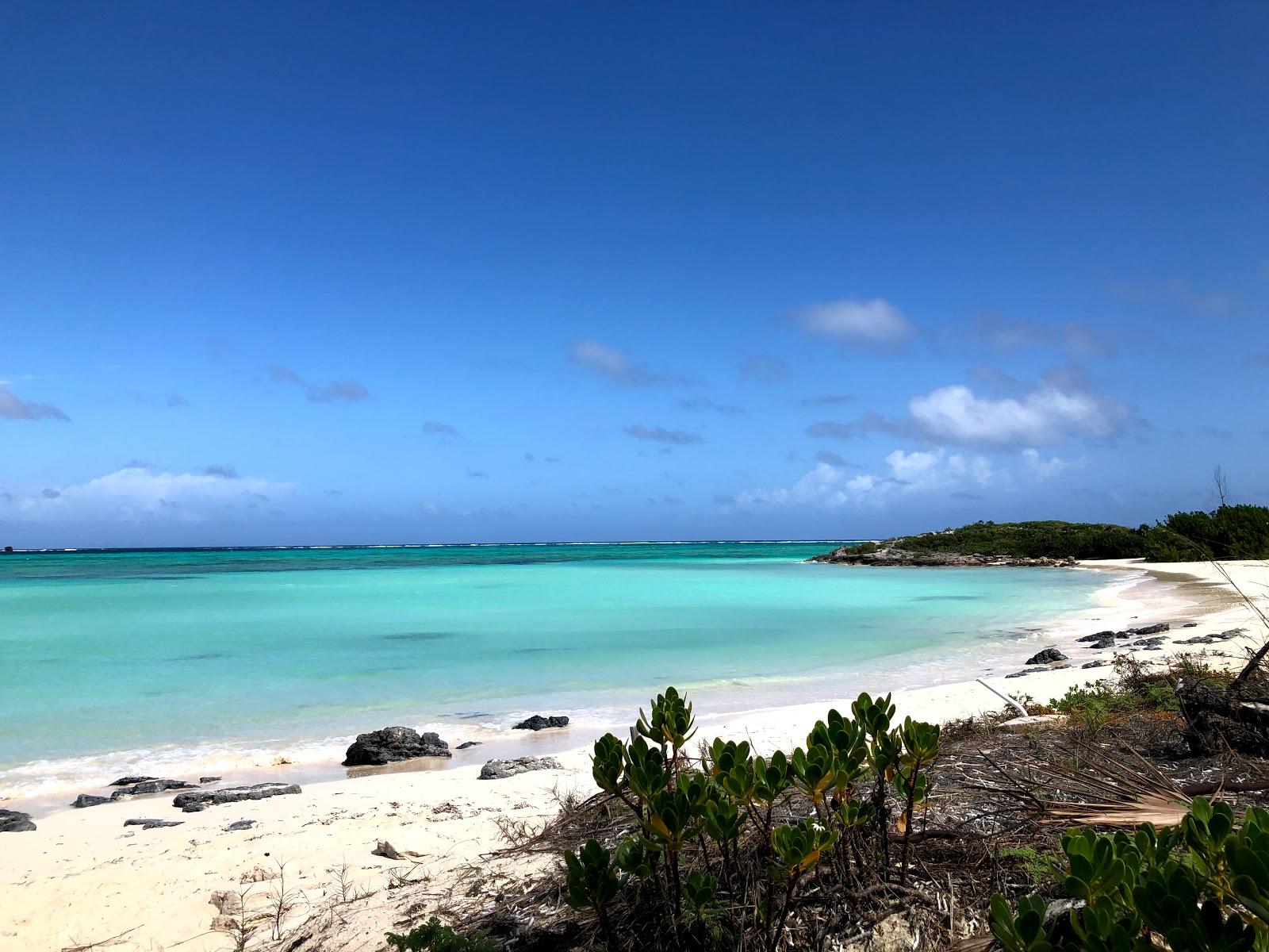 Sandee MHL Point