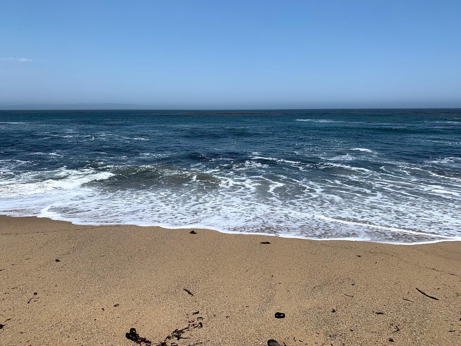 Sandee - Wilder Ranch State Park - Sand Plant Beach