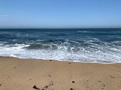 Sandee - Wilder Ranch State Park - Sand Plant Beach