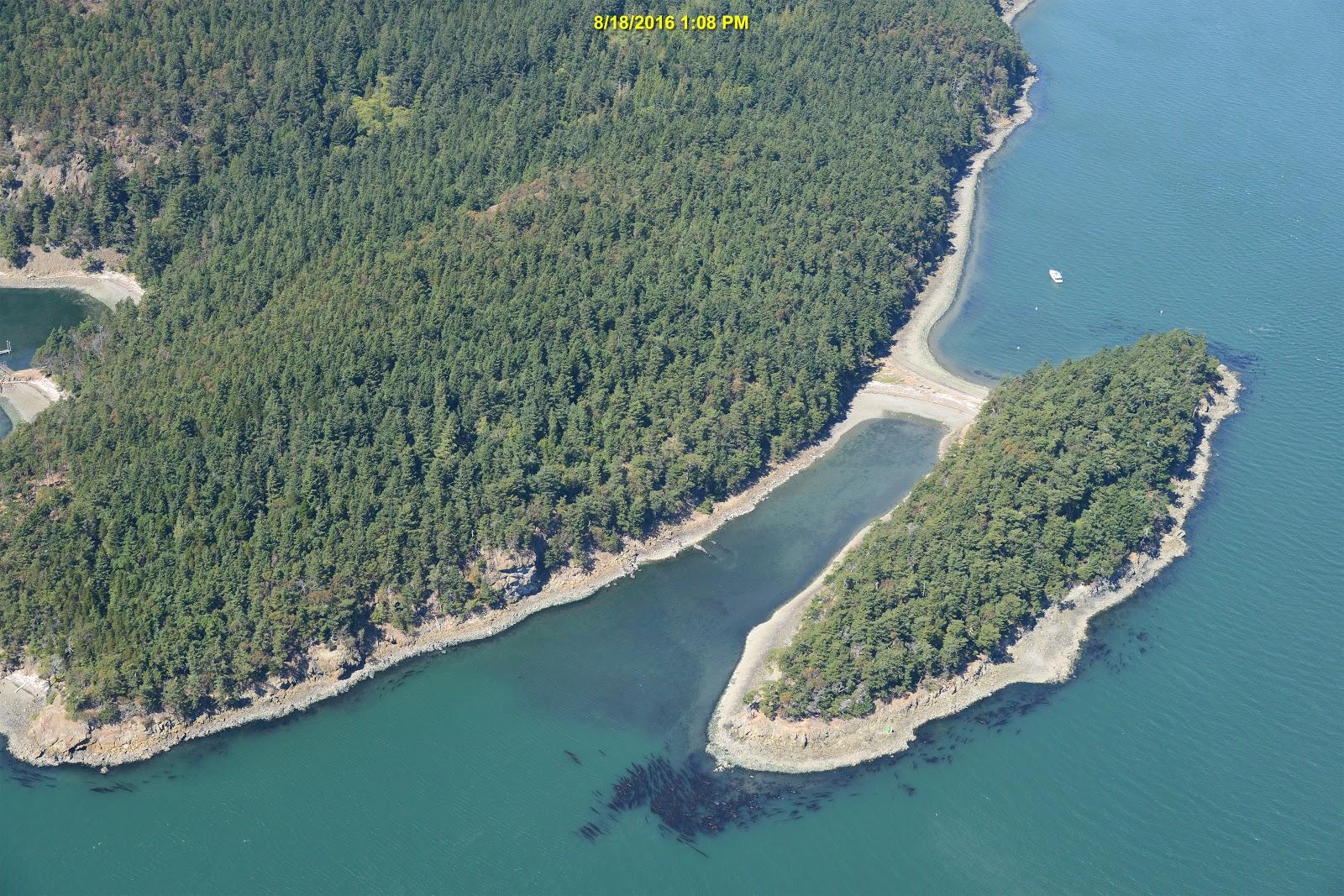 Sandee Cypress Head, Beach 210 Photo