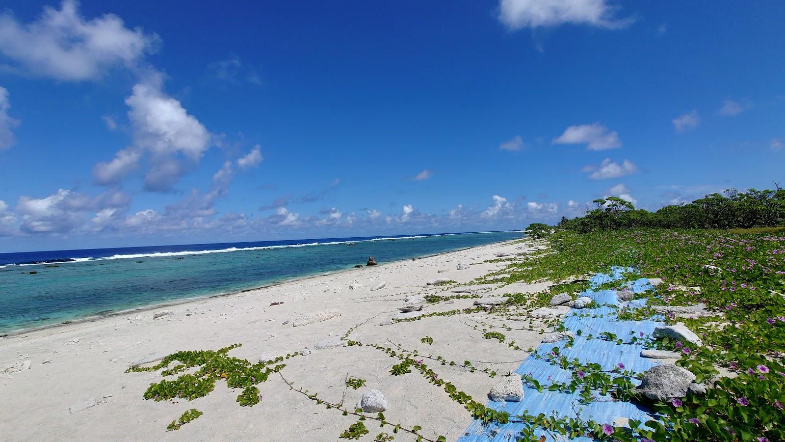 Sandee Marcus Island