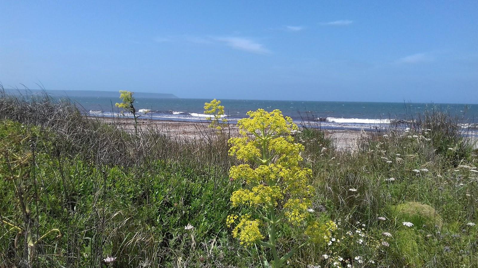Sandee Spiaggia Di Arborea - Zona 21^ Strada