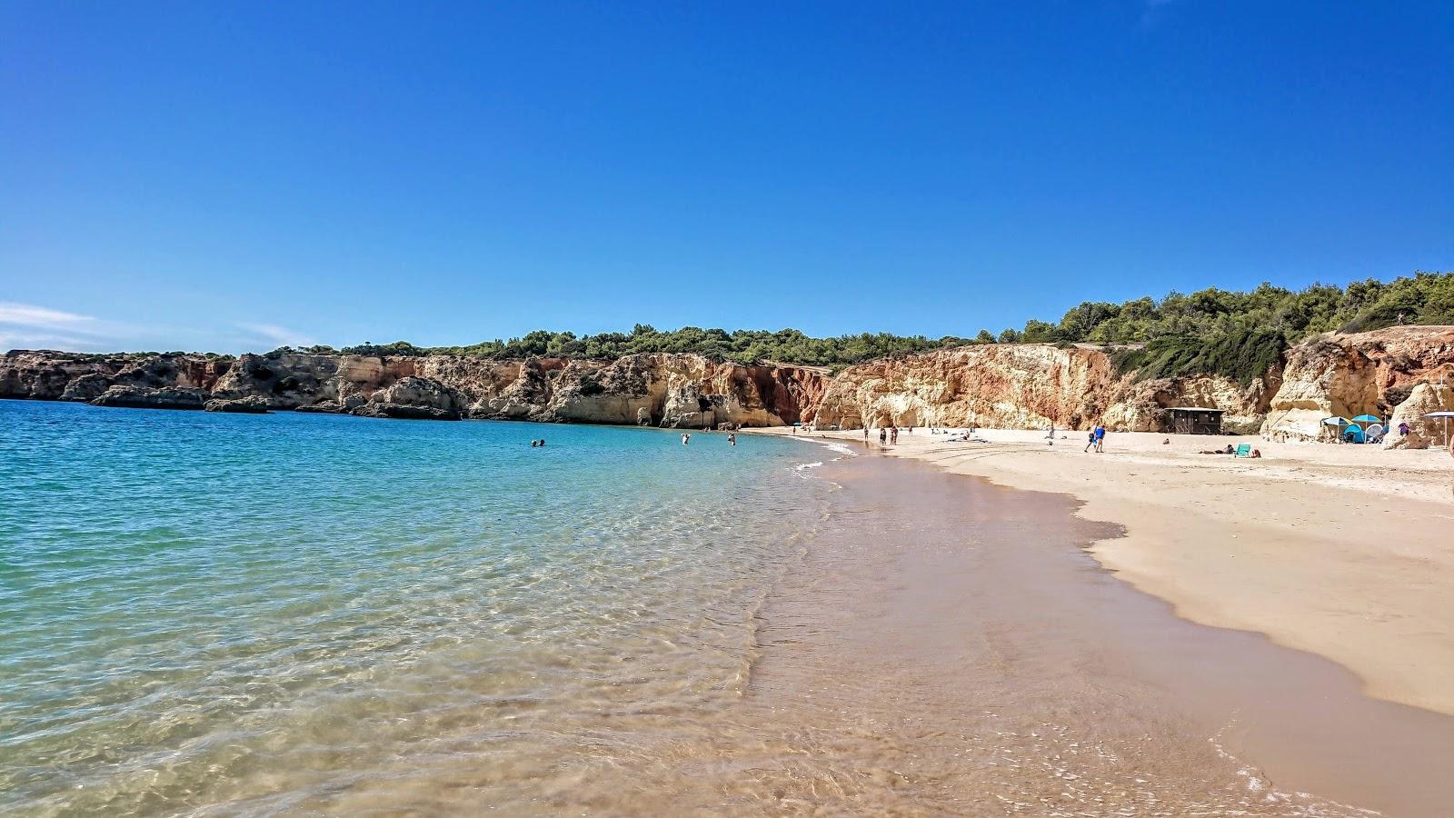 Sandee - Praia Do Alemao