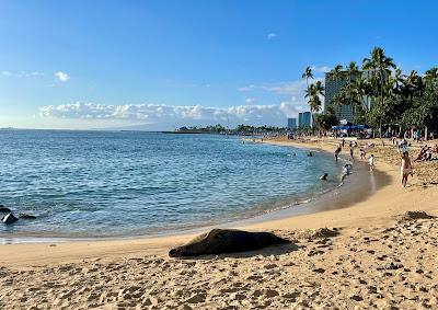 Sandee - Fort DeRussy Beach