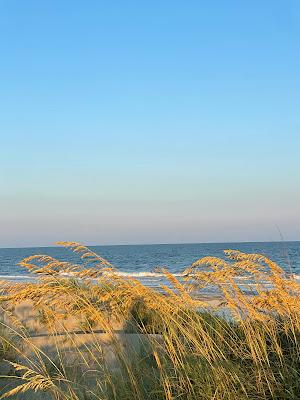 Sandee - Folly Beach County Park