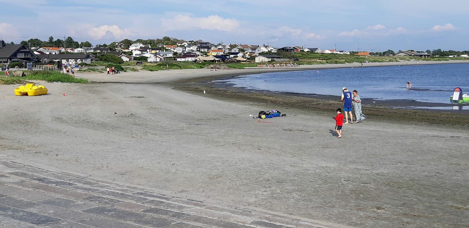 Sandee Apelviken