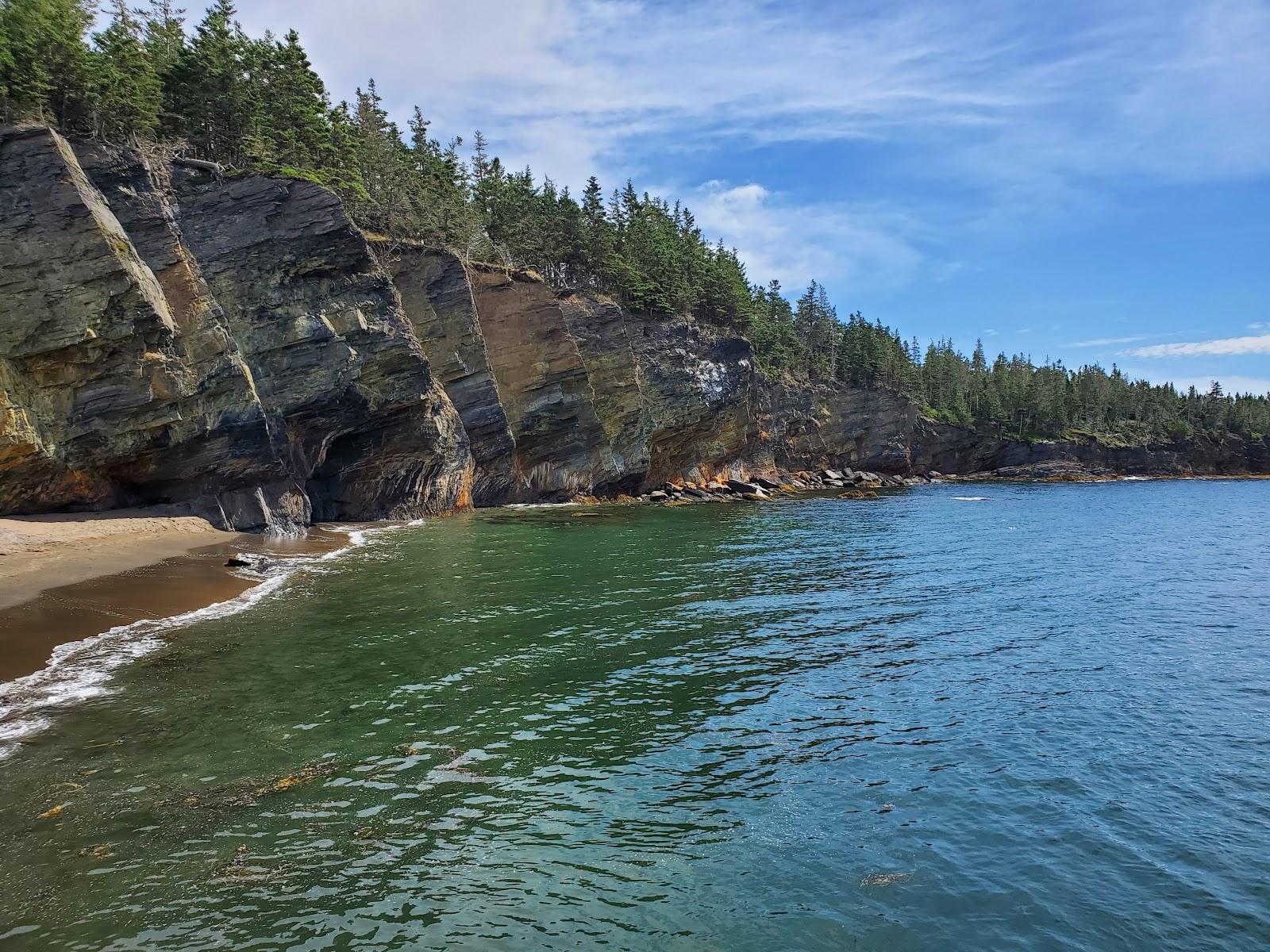 Sandee Gaff Point
