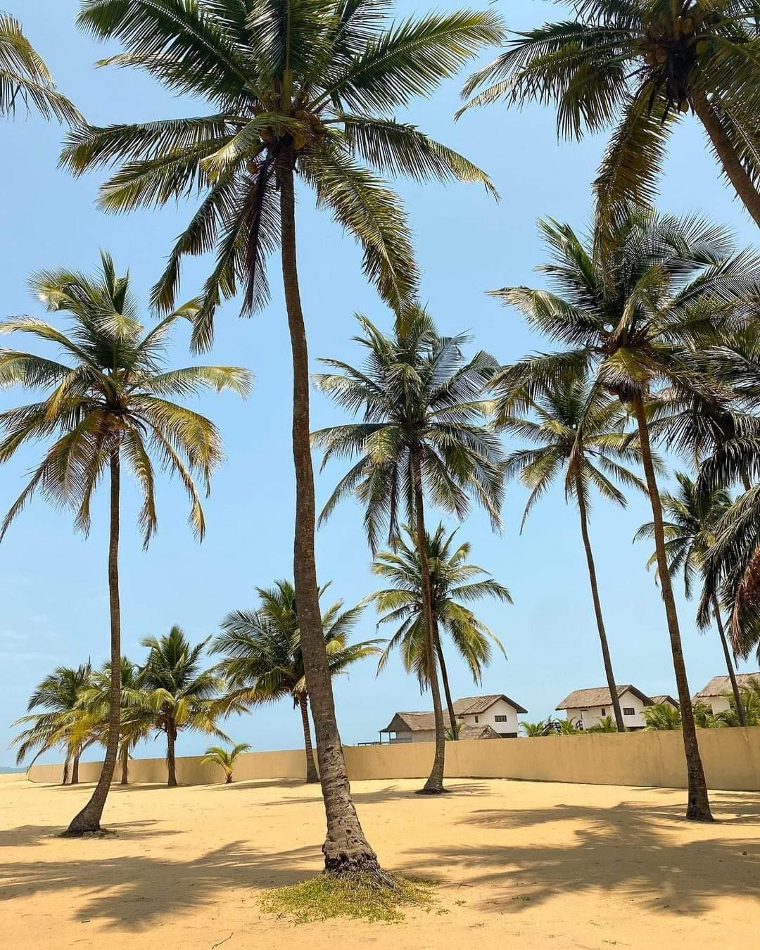 Sandee Nkonmo-Oyenghe Beach