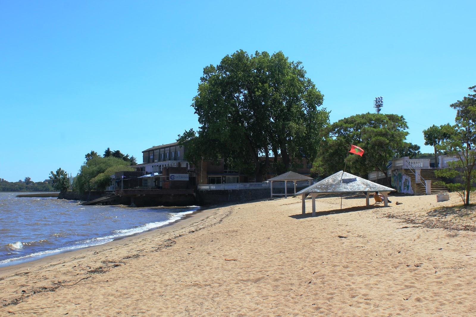 Sandee Rowing Urban Beach Photo