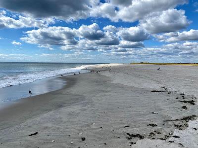 Sandee - Nickerson Beach Park