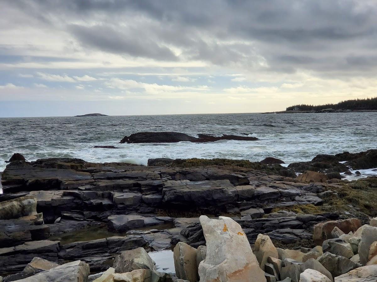 Sandee Johnstons Beach Photo