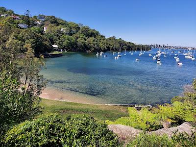 Sandee - Sirius Cove Beach