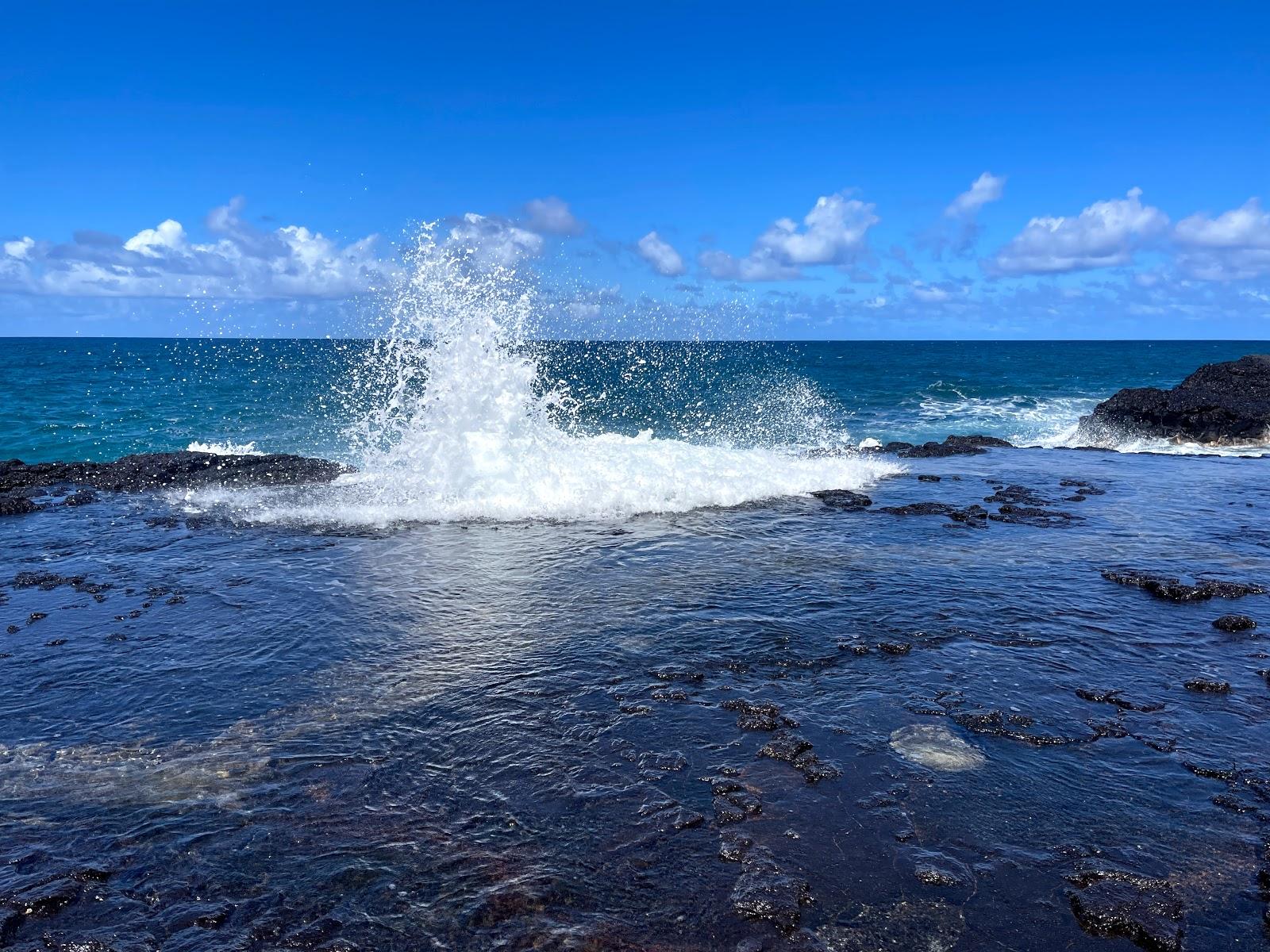 Sandee - Waikoko Beach