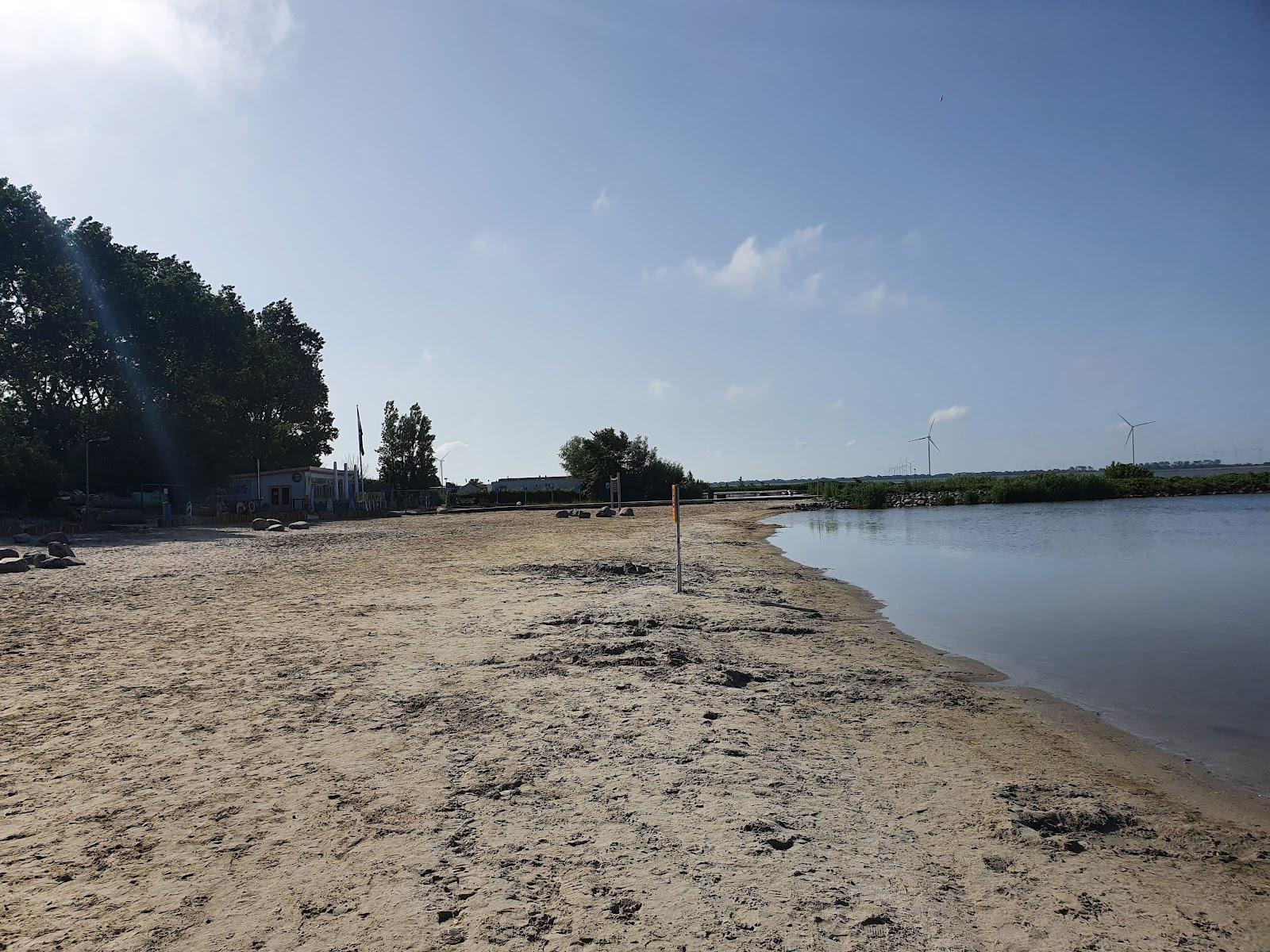 Sandee Strandthus Lutje
