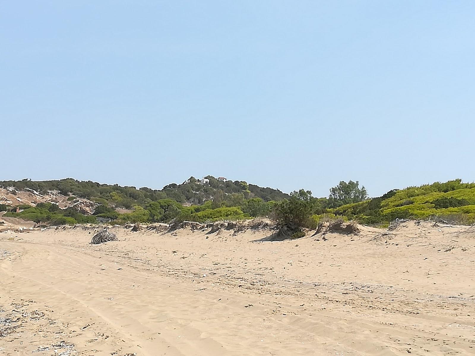 Sandee Kounoupelaki Beach