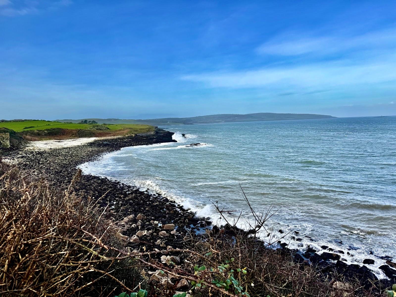 Sandee Porth Forllwyd Beach