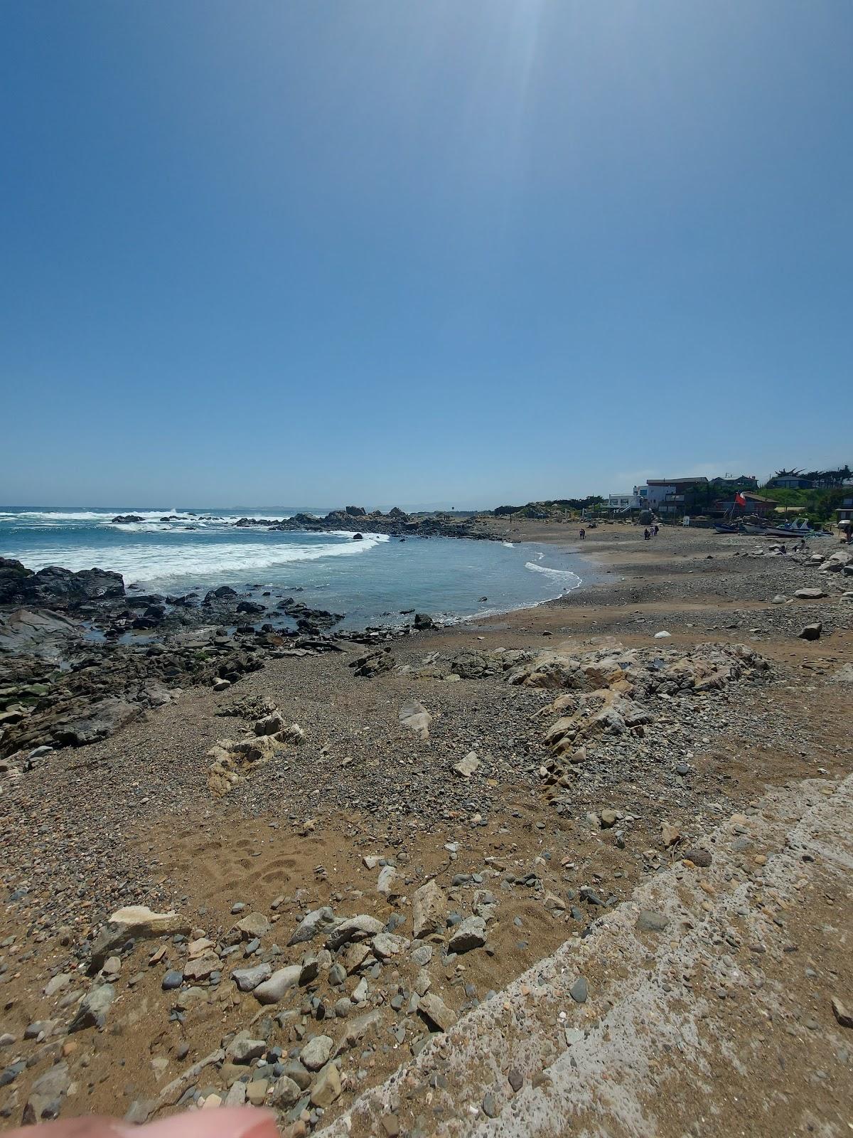 Sandee Whale Beach Photo