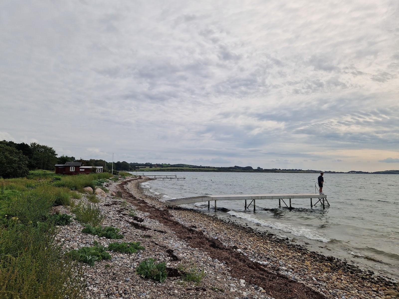 Sandee Sinebjerg Beach