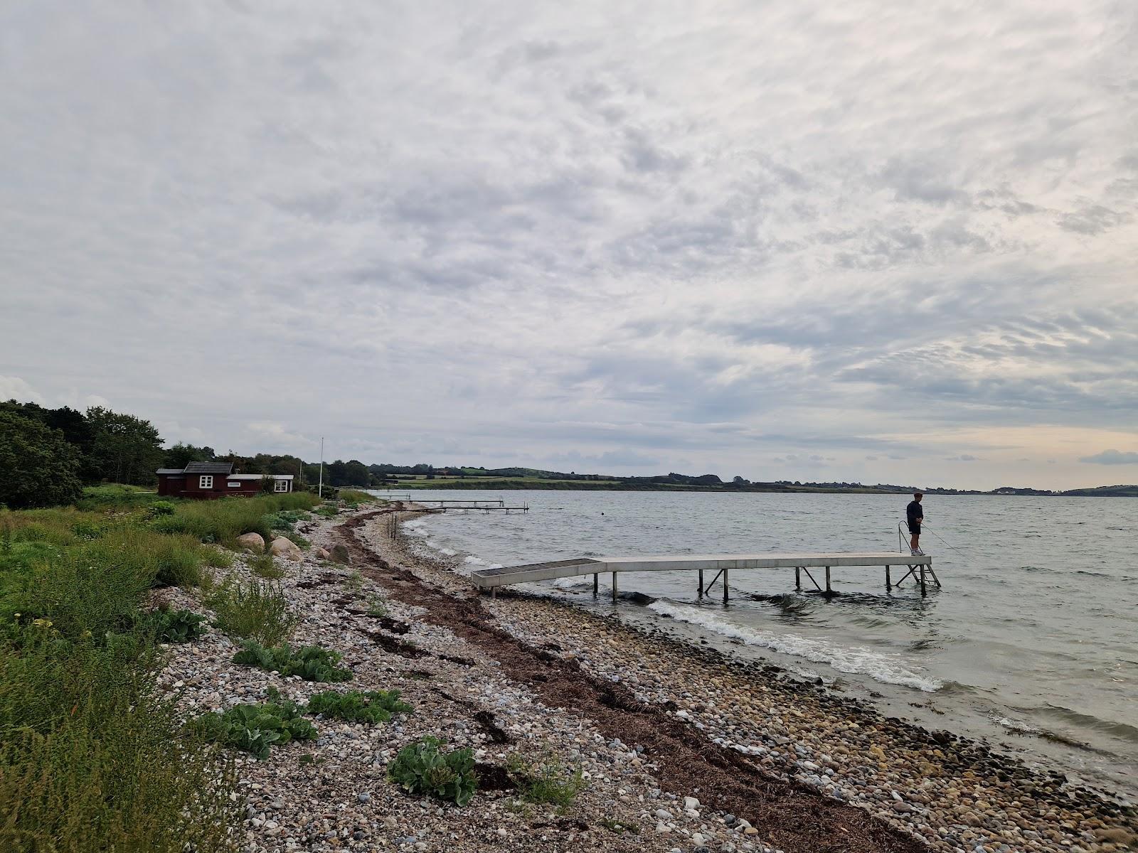 Sandee Sinebjerg Beach Photo