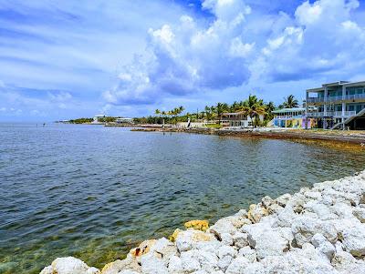 Sandee - Harry Harris Beach Park