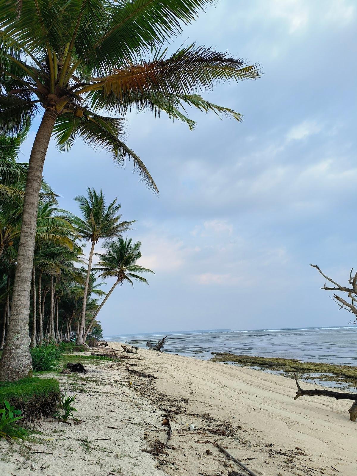 Sandee Biha Beach