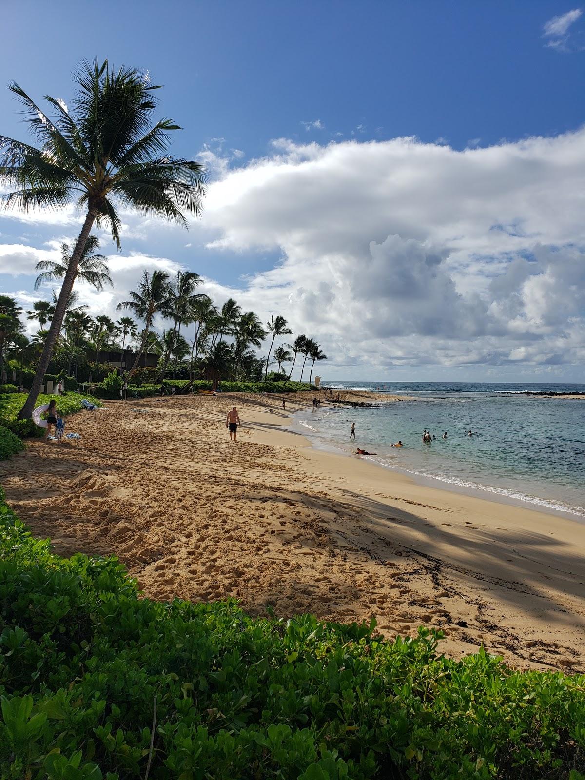 Sandee - Waiohai Beach