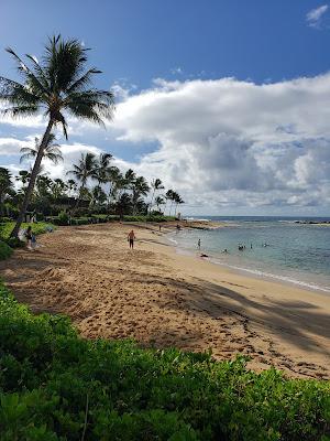 Sandee - Waiohai Beach