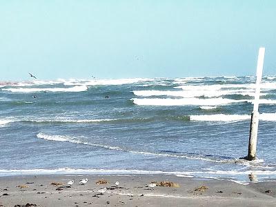 Sandee - Port Aransas Beach Park