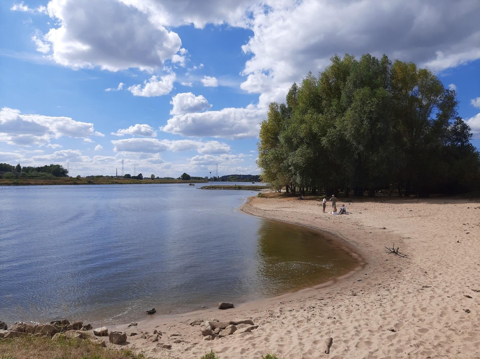 Sandee Wageningen Beach