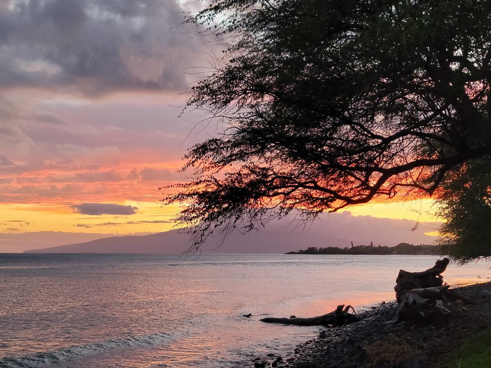 Sandee - Olowalu Beach