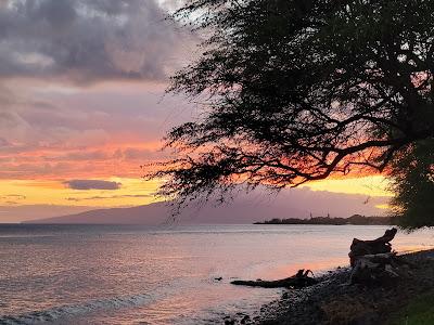 Sandee - Olowalu Beach