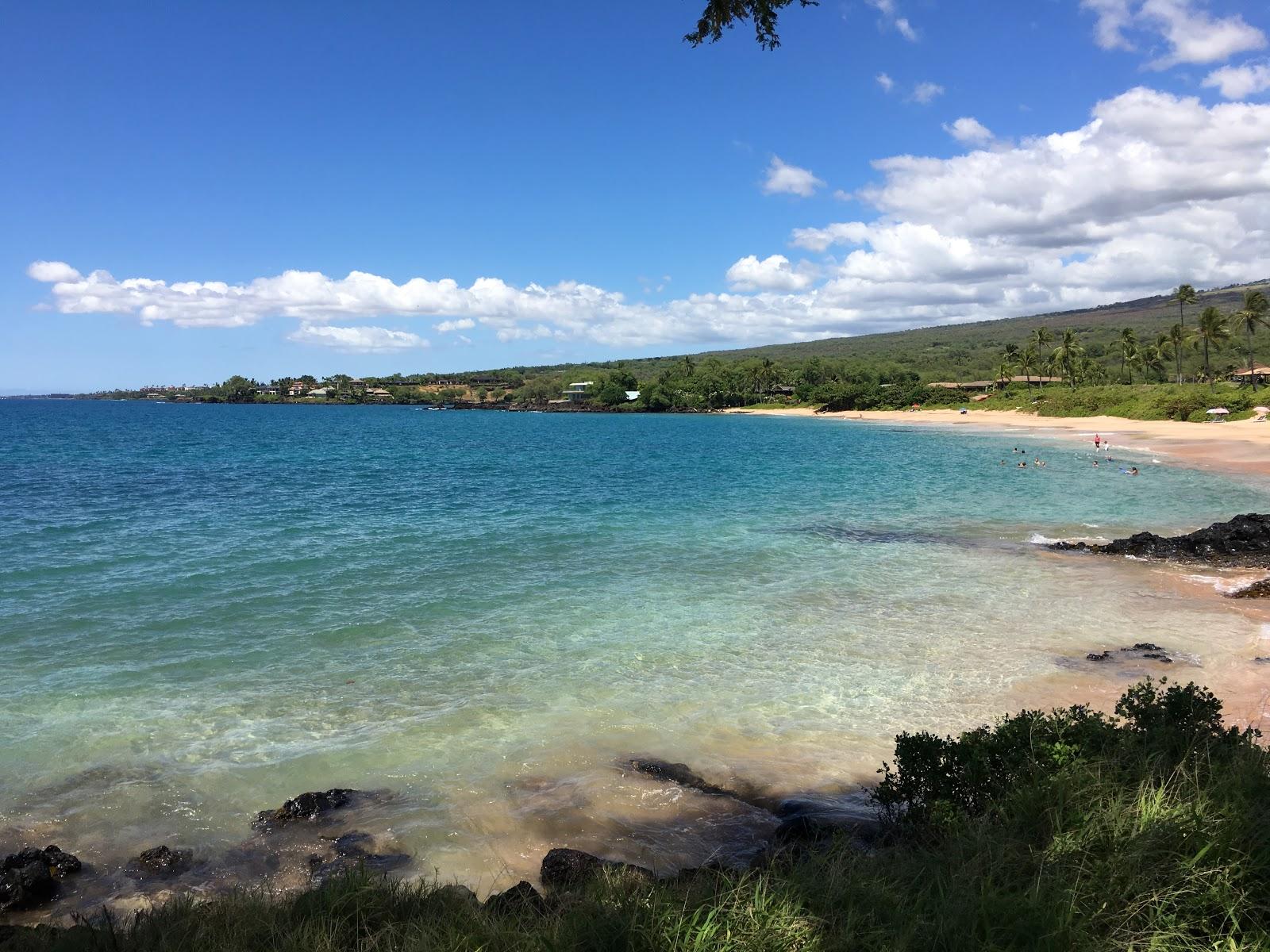 Ahihi Kinau Natural Area Reserve Photo - Sandee