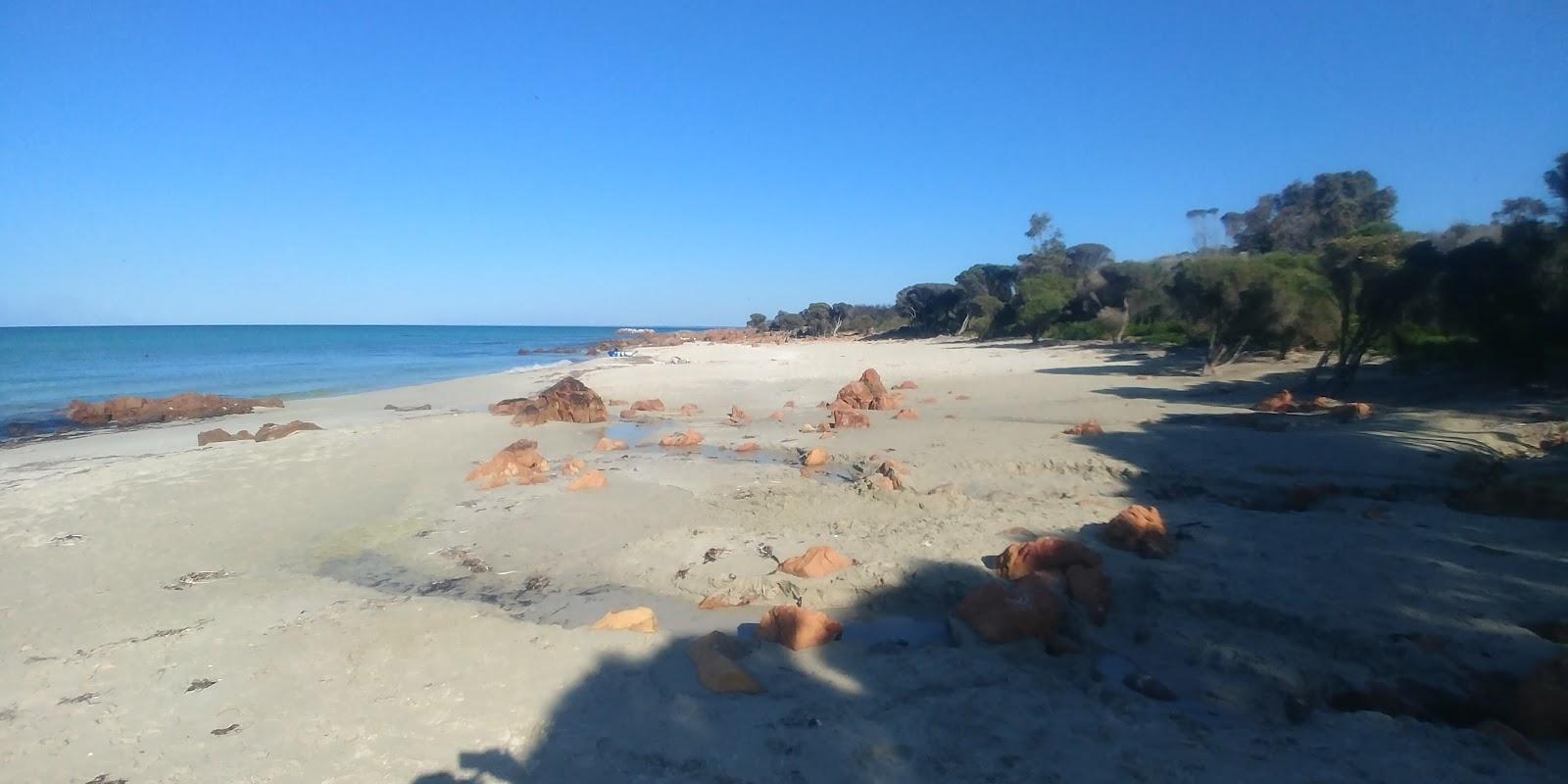 Sandee Curtis Bay Beach