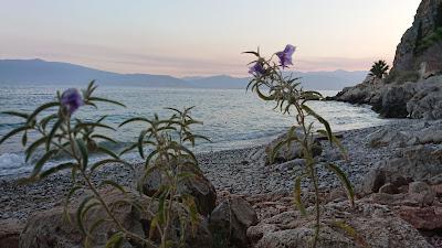 Sandee - Nerakia Beach