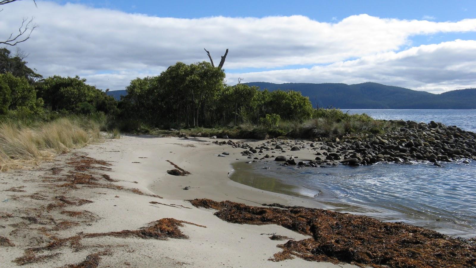 Sandee Hopwood Beach