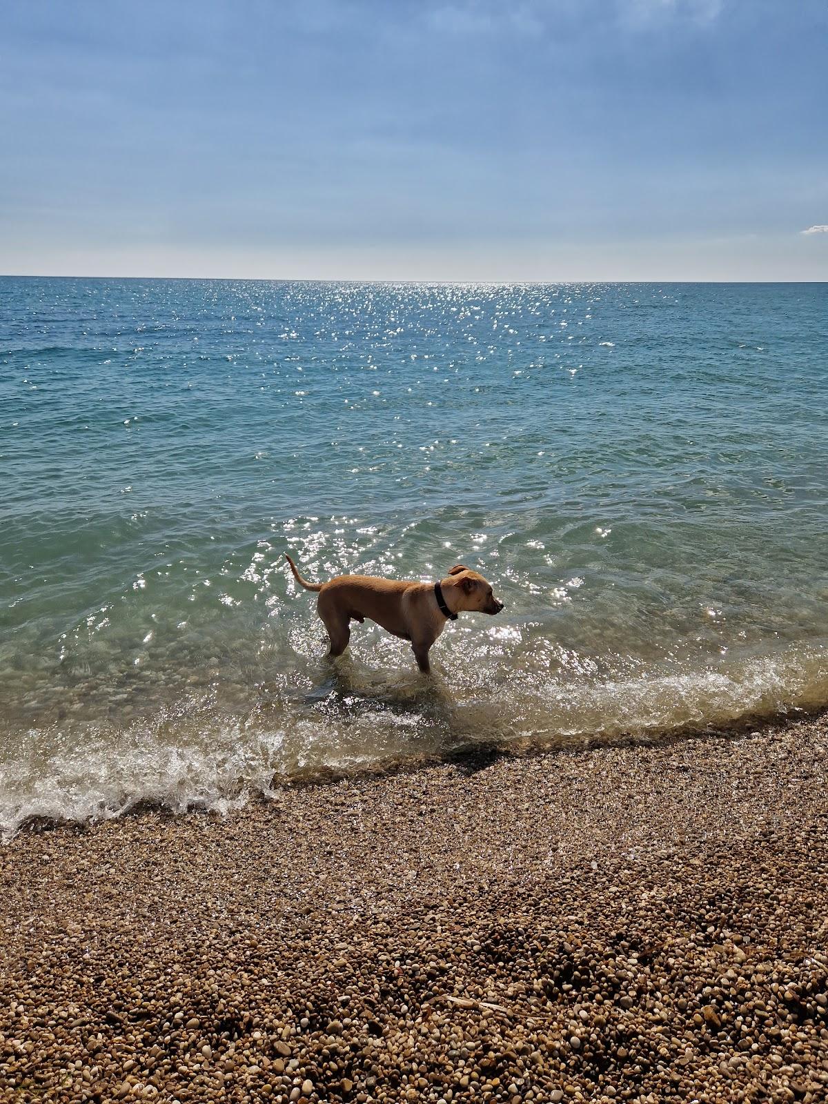 Sandee Spiaggia Di Piana Grande Photo