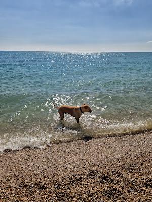 Sandee - Spiaggia Di Piana Grande