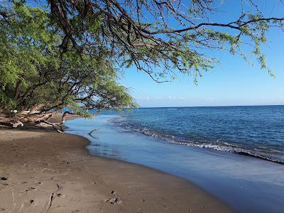 Sandee - Olowalu Beach