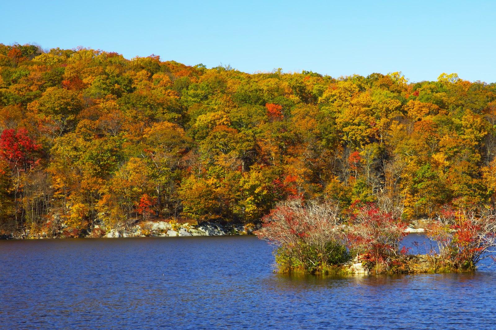 Sandee - Canopus Lake