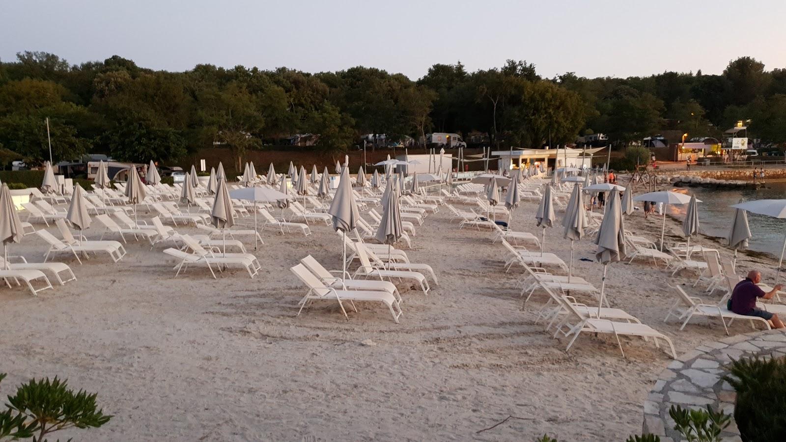 Sandee Beach Tar