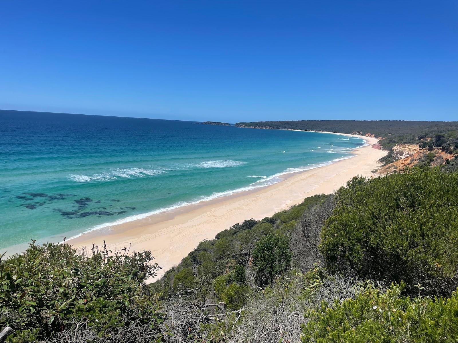 Sandee Pinnacles Beach