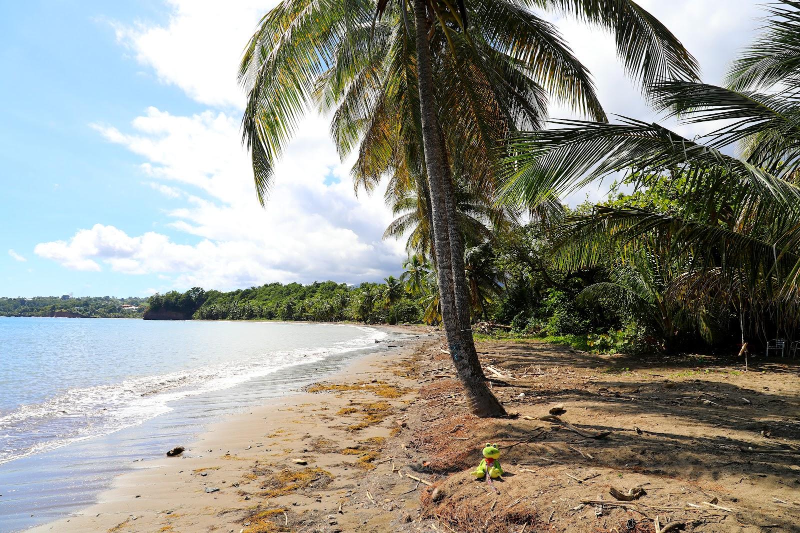 Sandee Plage De St Claire