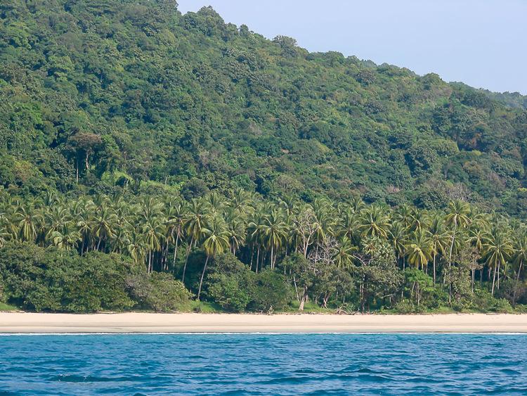 Sandee Paradise Beach