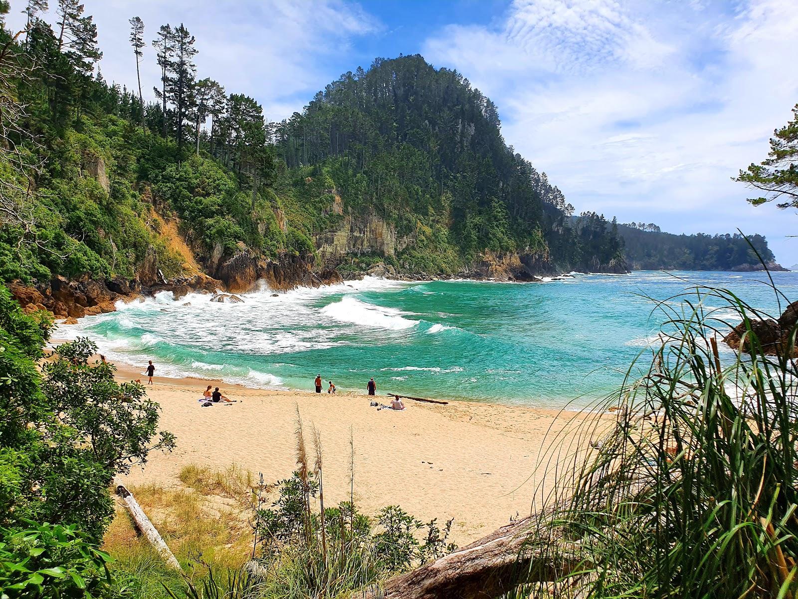 Sandee Pokohino Beach