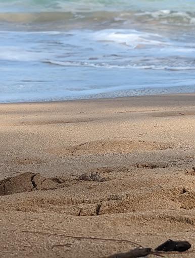 Sandee - Anahola Beach Park